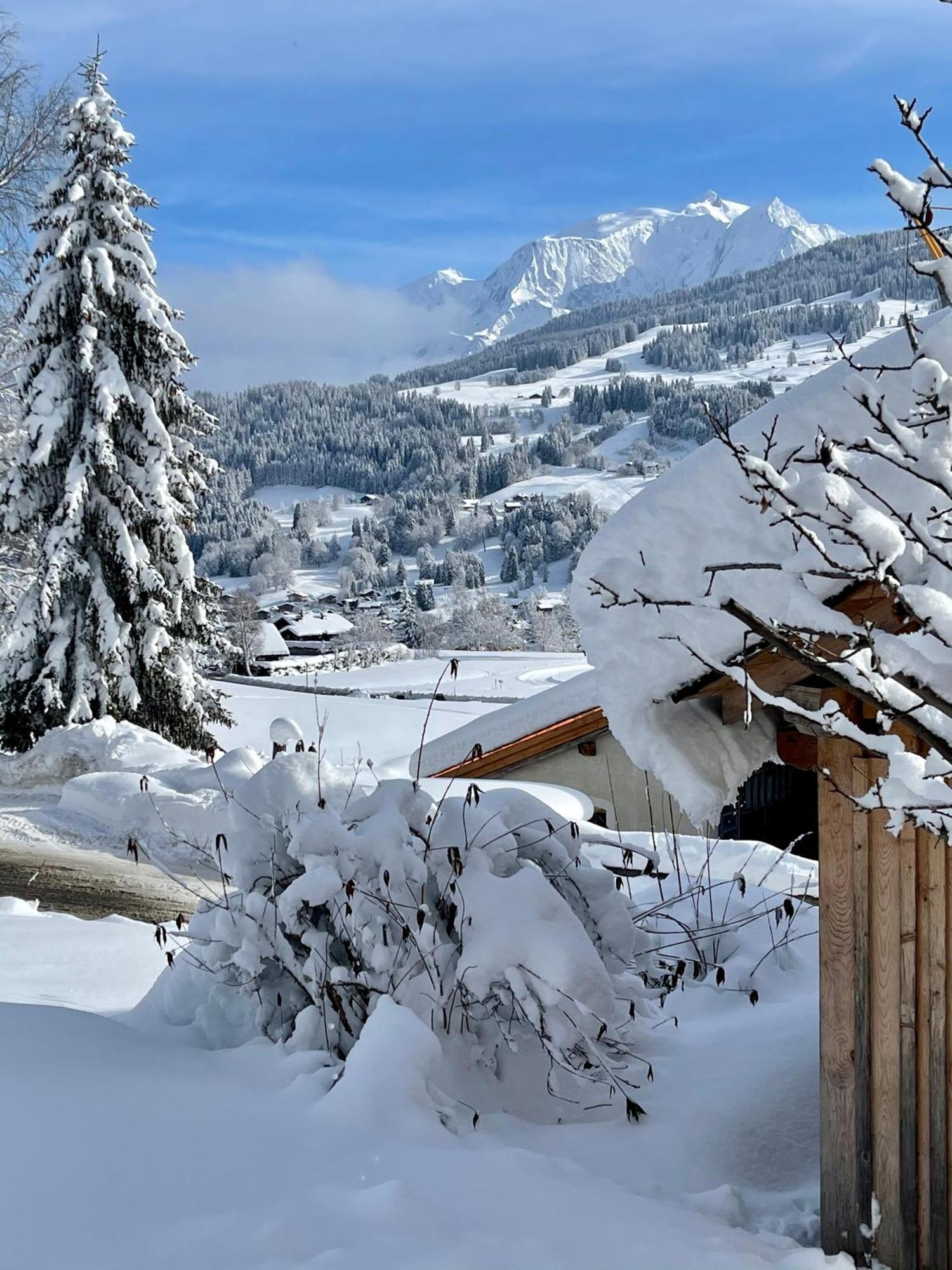 Chalet A Megeve-Vauvray - Grands Appartements , Vue Mont Blanc Demi-Quartier Exterior photo