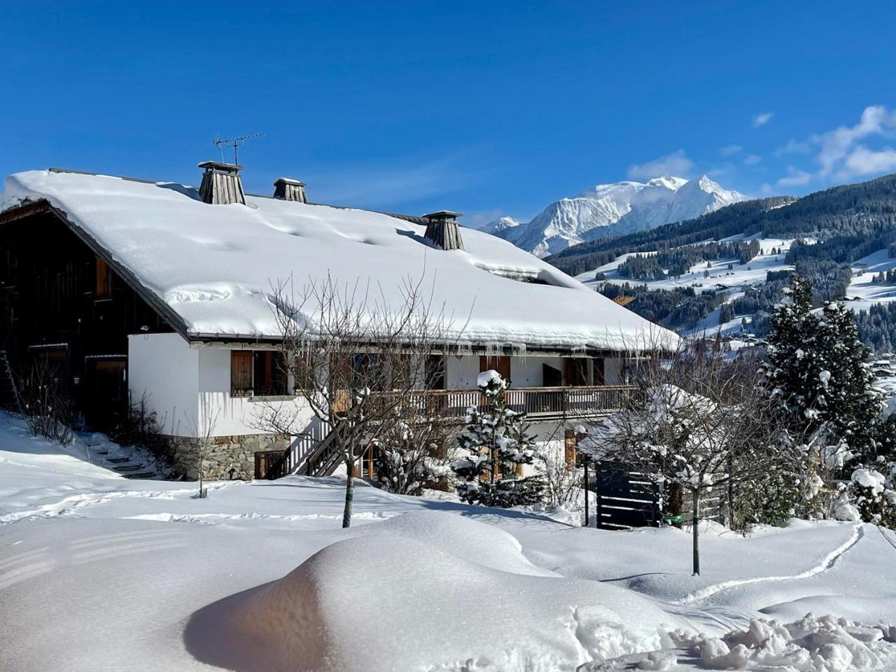 Chalet A Megeve-Vauvray - Grands Appartements , Vue Mont Blanc Demi-Quartier Exterior photo