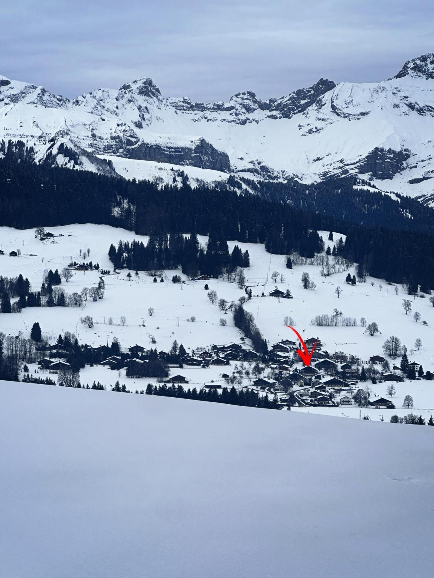 Chalet A Megeve-Vauvray - Grands Appartements , Vue Mont Blanc Demi-Quartier Exterior photo